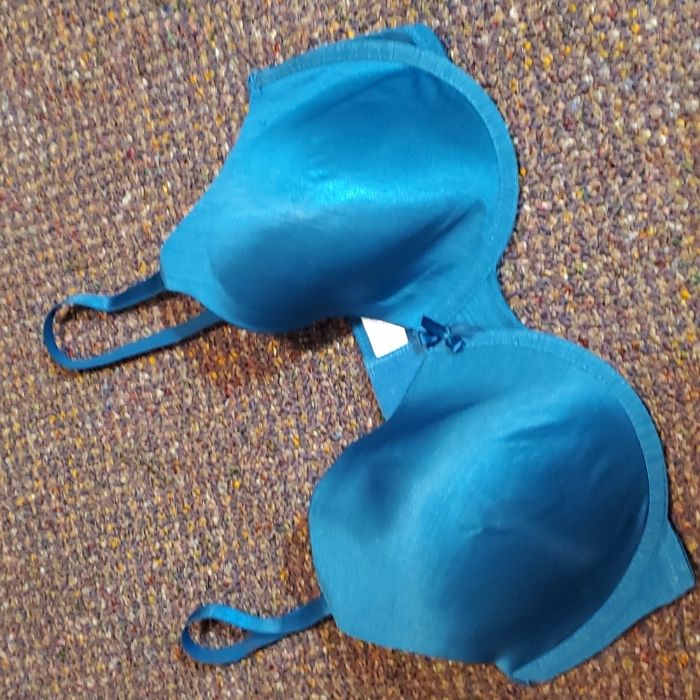 38DD Bra